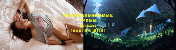 дмт Лиски