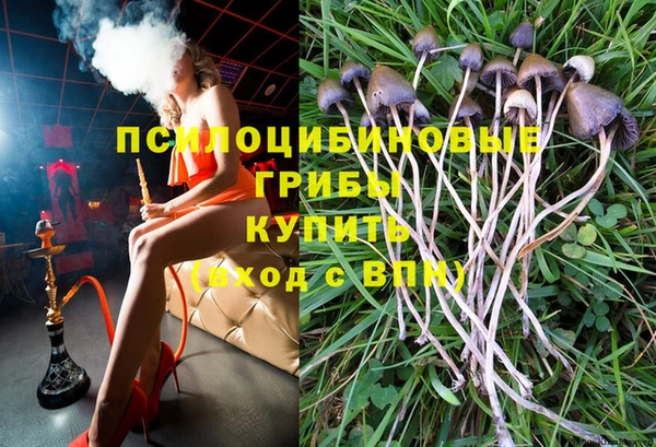 твердый Магадан